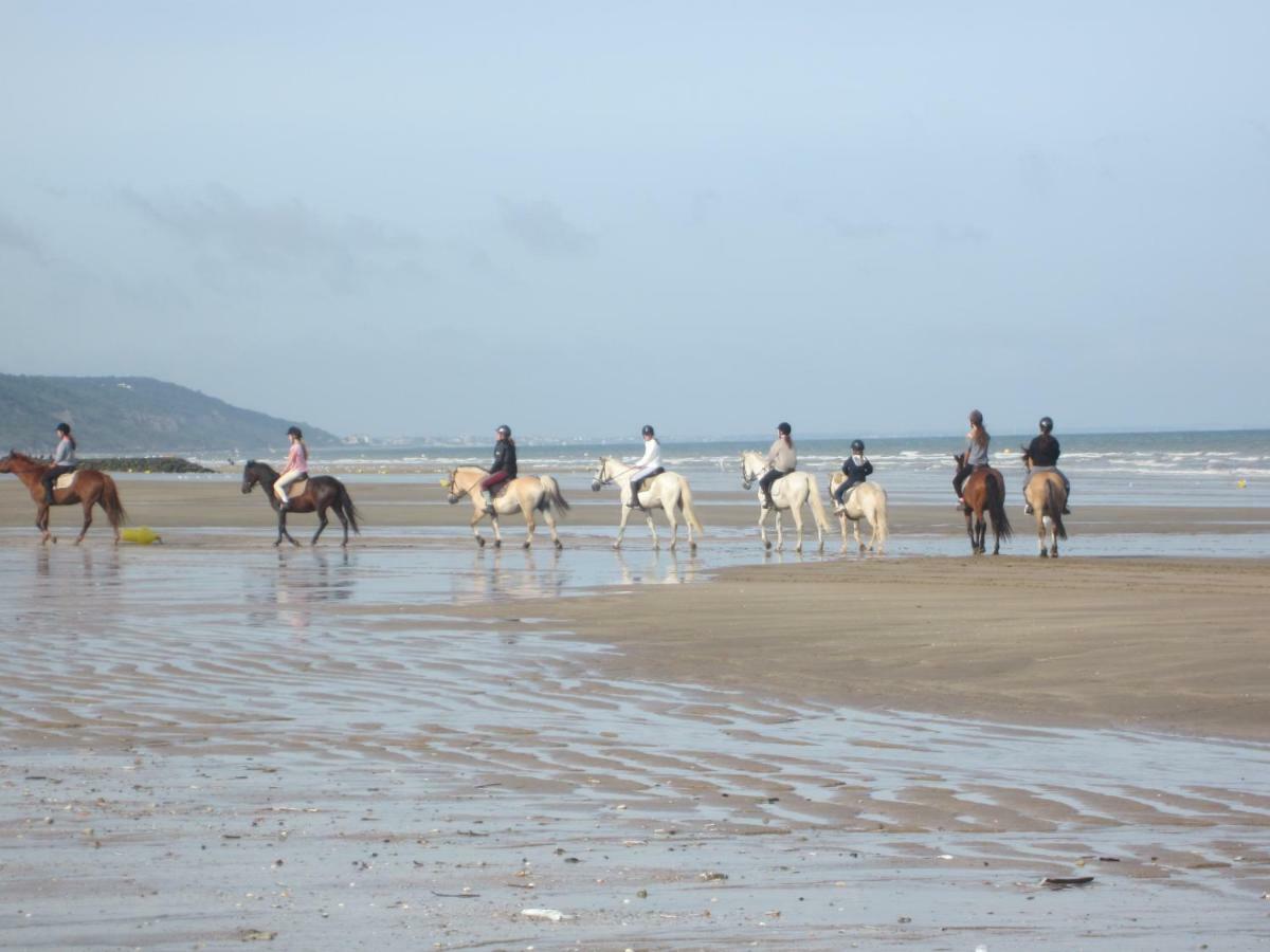 Confort Refait A Neuf * Deauville